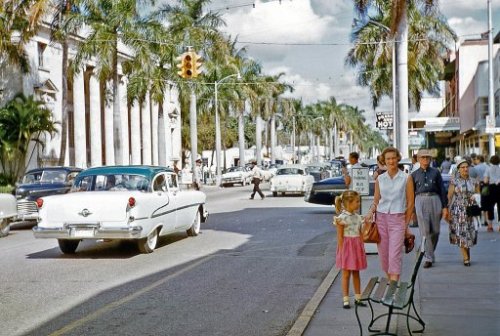 fort myers florida 1956 1950s vintage car palm tree
