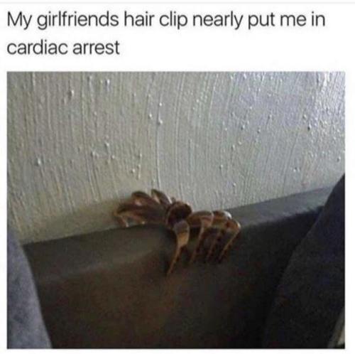 lolmemez:Fuck spiders. Fuck hair clips.