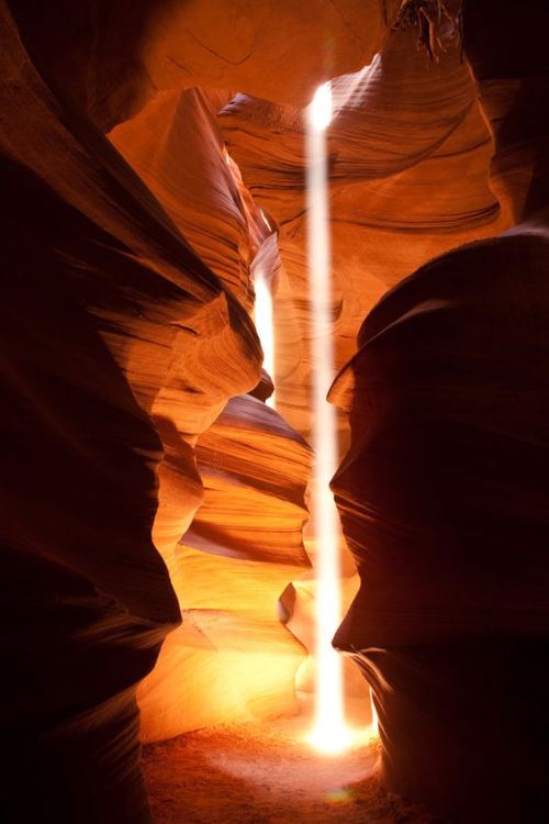 brookbooh:Explore Arizona