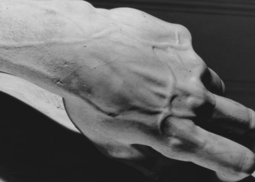 detailedart:Details: hands study; how to give life to rock.