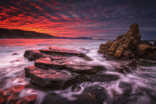 drxgonfly:Salty Rocks (byAnder Alegria)