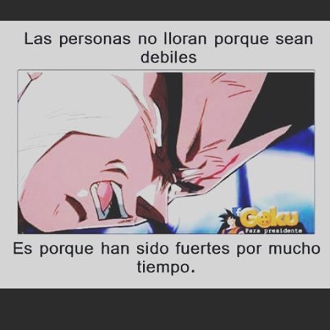 John Baqui Frases Reflection Dbz Vegeta