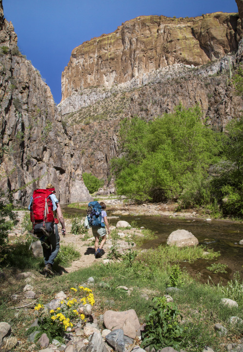 Aravaipa Canyon Is As Close To The Perfect Hike As 