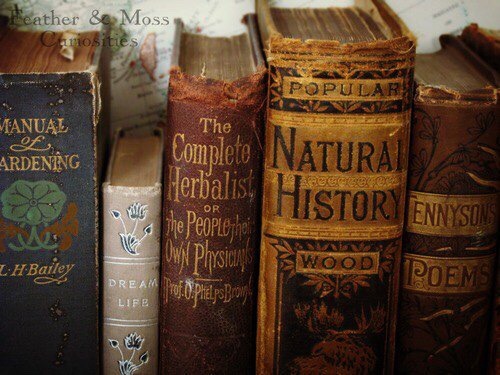 autumn fall books october calm silence mood cozy