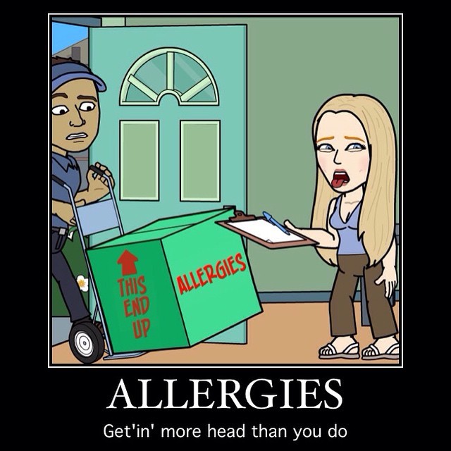 1 Year Of Single — So wrong, this Allergies meme. But if ...