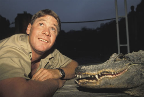 The Crocodile Hunter On Tumblr