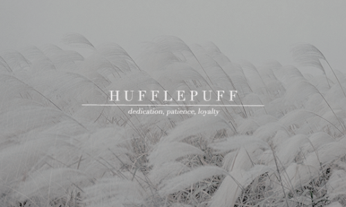 ravnclaws:        hogwarts houses & fields | where do you...