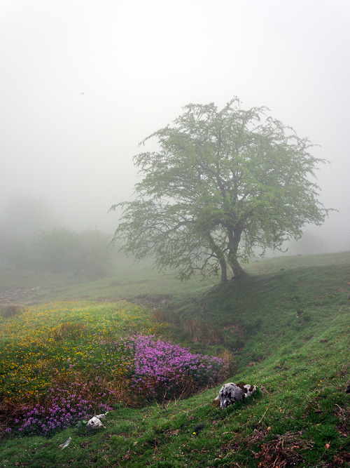 Soul Deep In Nature