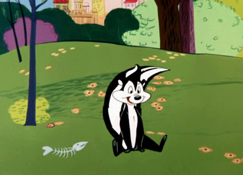 Image result for PENELOPE SKUNK LOONEY TUNES GIFS