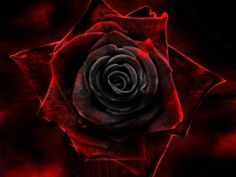 Black And Red >> Red And Black Aesthetic Tumblr Black And Red >> Red And Black Aesthetic Tumblr