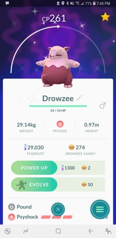 Shiny Drowzee Tumblr