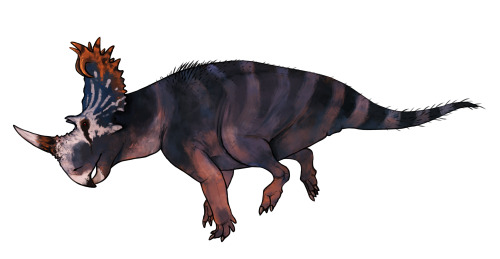 A Dinosaur A Day · Monoclonius crassus