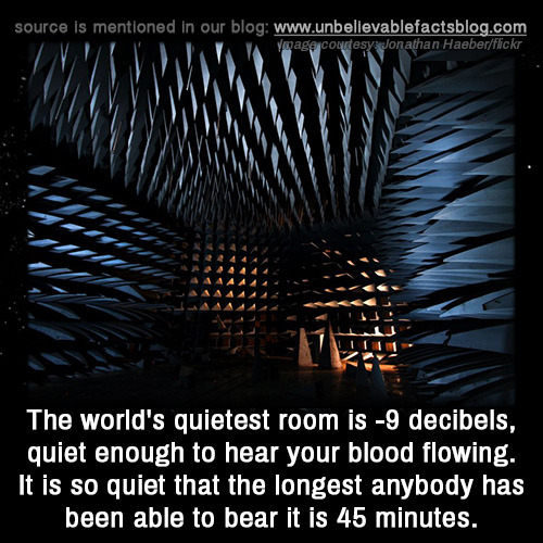 Geneze Unbelievable Facts The World S Quietest Room Is