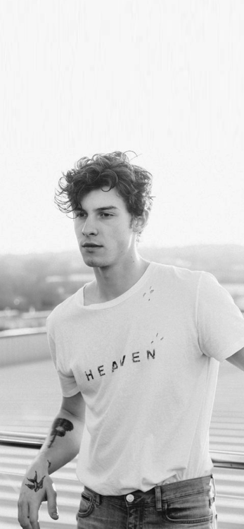 shawnmendesicons