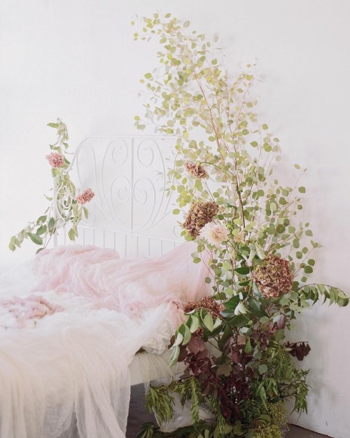 andantegrazioso:Floral bed | marielhannah