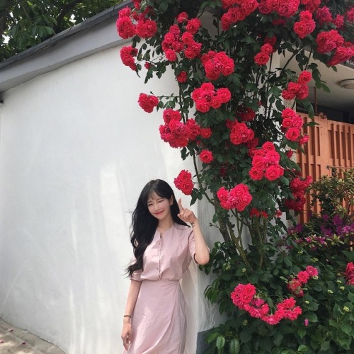 korean korean girl asian asian instagram asian tumblr aethetics pastel pink pink korean model site model model kfashion kstyle ulzzang ulzzang girl uljjang ulzzang icons south korea