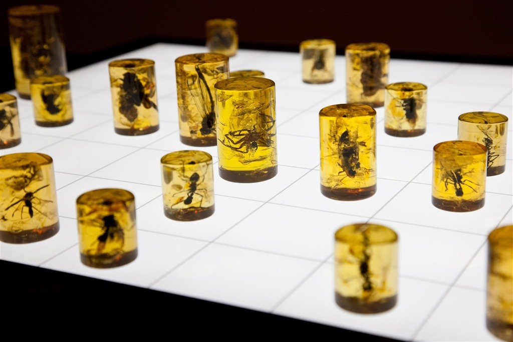 Chess Set Pieces Bugs and Insects light NEW