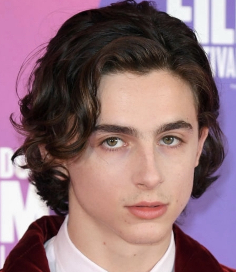 Timothée Chalamet — DREAMY