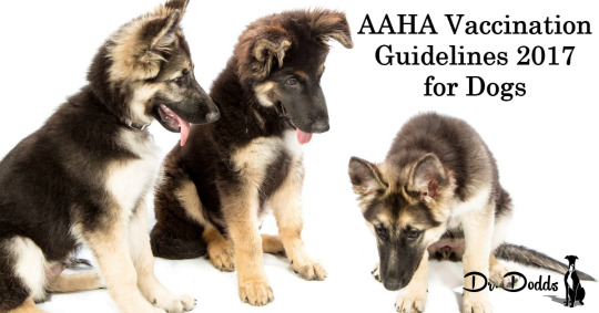 AAHA Vaccination Guidelines 2017 for Dogs Review | W. Jean Dodds, DVM