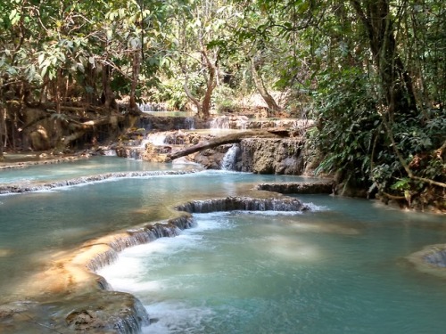 Welcome to Laos. One of the most amazing places in all my...