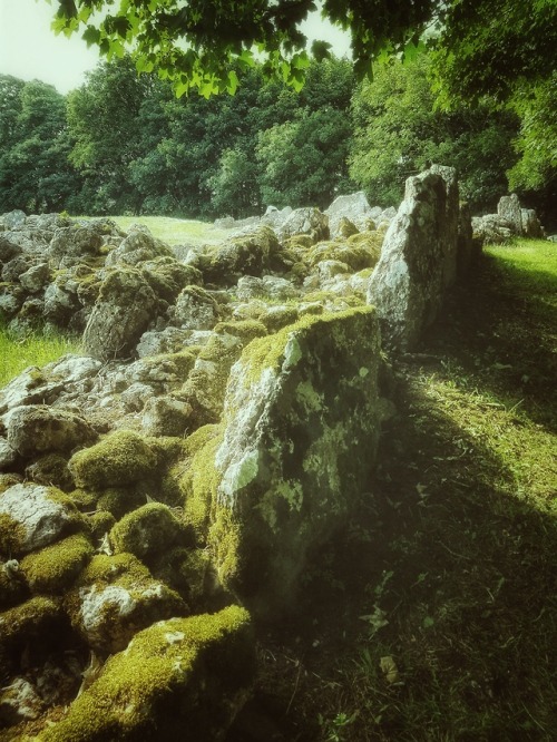 thesilicontribesman:Din Lligwy Romano-Celtic Settlement,...