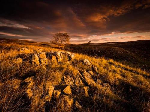 The Yorkshire Dales are glowing in this golden hour shot. Share...