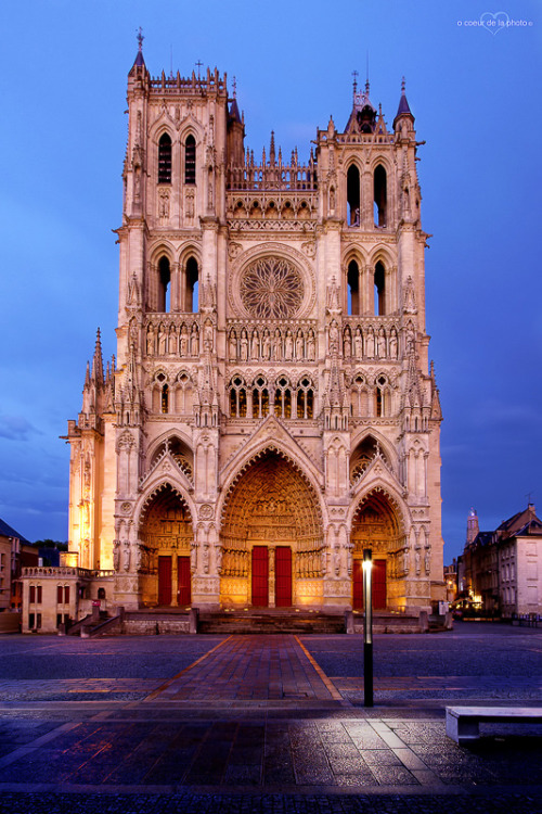 allthingseurope:Amiens Cathedral, France (by o couer de la...