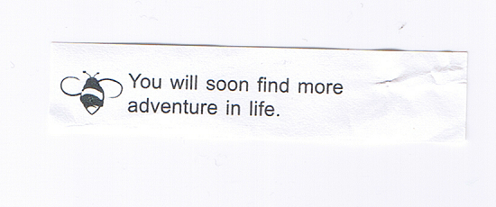 fortuneaday:
“[A white fortune cookie paper with black text on the front and an icon of a bee. It reads: You will soon find more adventure in life.]
”