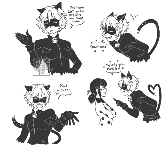 Miraculous Adventures Of Ladybug And Cat Noir Tumblr