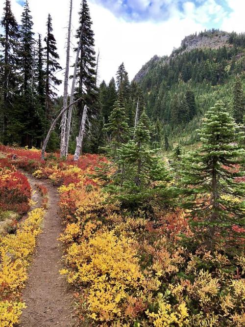 earthporn:Fall colors on display in Washington State [OC]...