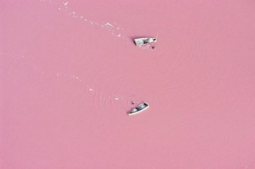 jeflondon:Lake Retba, Senegal