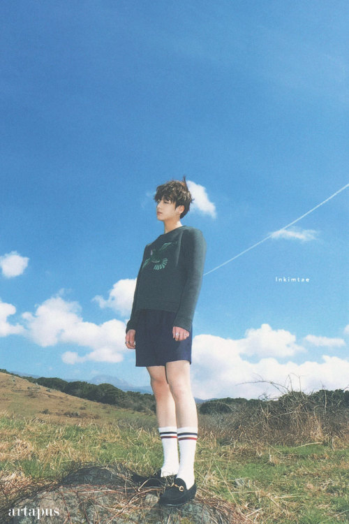 lnkimtae