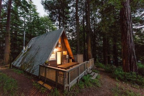 cabinlust:Would you live here?