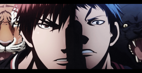 fyaokaga:Aomine Daiki [5/10] Kagami...