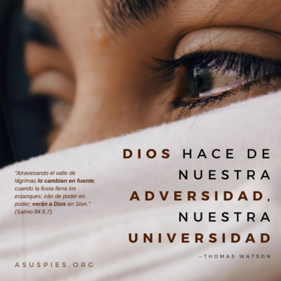 Archivo del blog