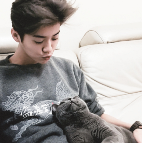 exomoodboards:Luhan + His Cats moodboard for anon