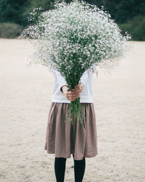 Baby’s breath❀