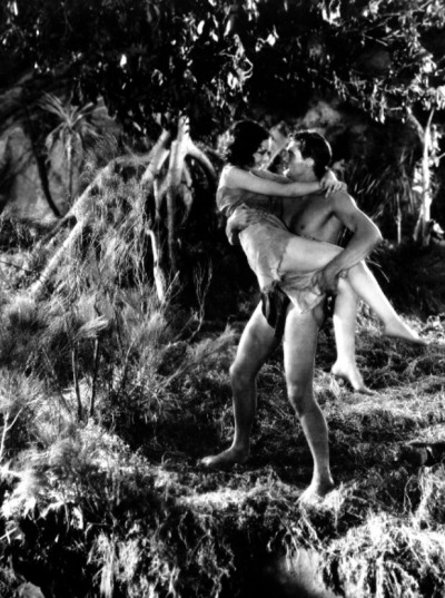 Tarzan Gayseksi
