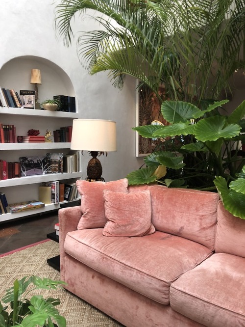 personal love pink blush tones blush couch pink couch i want self interior goals interior goals af Goals interior casa faena inspo miami beach miami sobe south beach miami spice