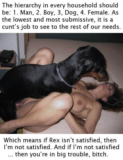 Fucking My Dog - Porn Sex Photos. 