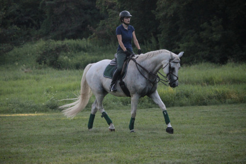 kremeroyale:One of my favorite late summer evening rides