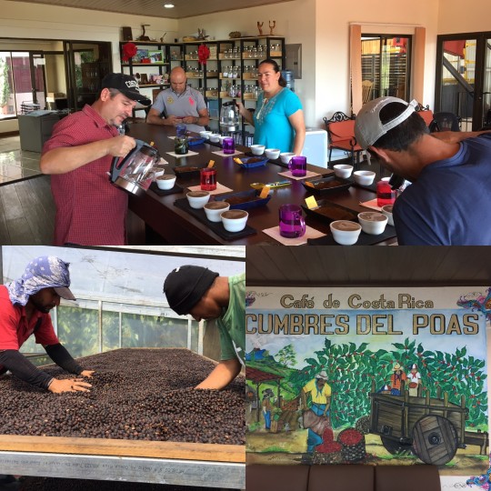 Specialty coffee cupping at Las Lajas in Costa Rica
