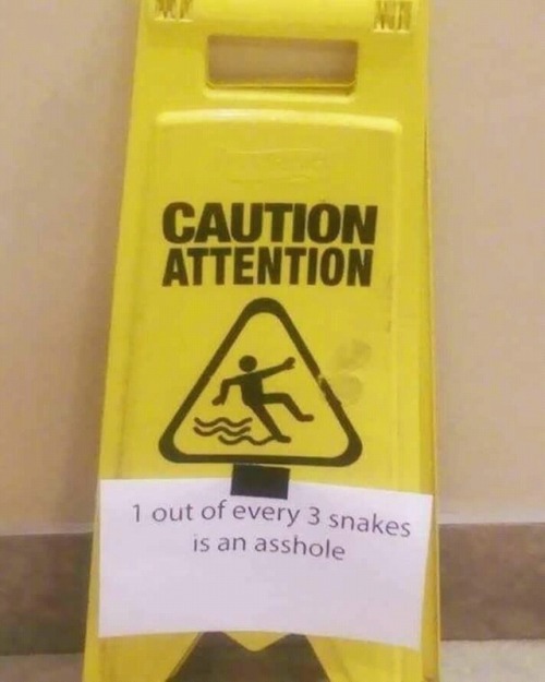 loloftheday:Beware of that one snake!