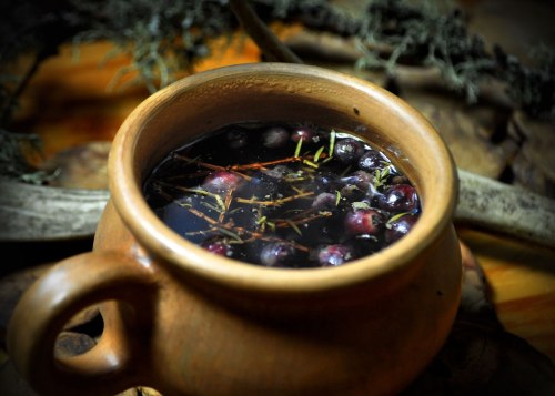 thewriterofthewoods:Juniper tea