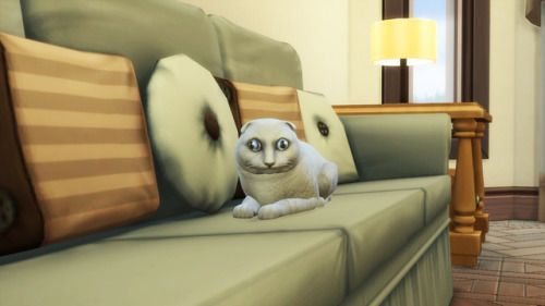 anakel13ts4stuff