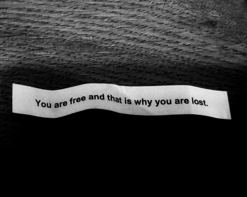 crinaprida:Fortune cookie, yesterday.© Crina Prida.