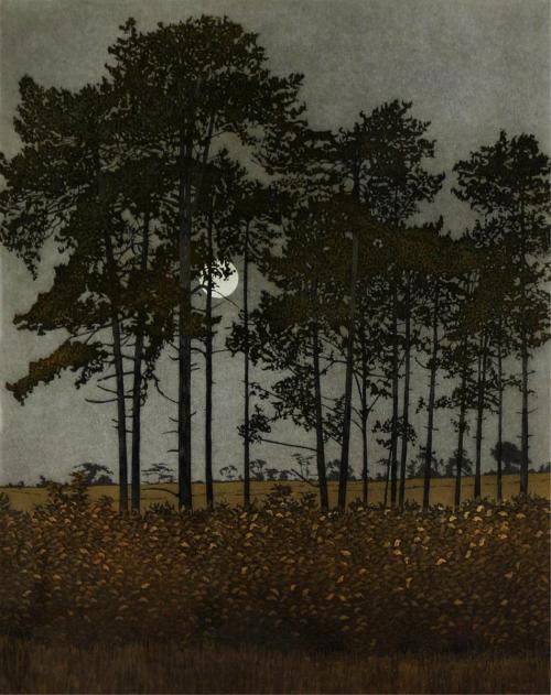 lilacsinthedooryard:Phil Greenwood (UK b 1943)Moonlight...