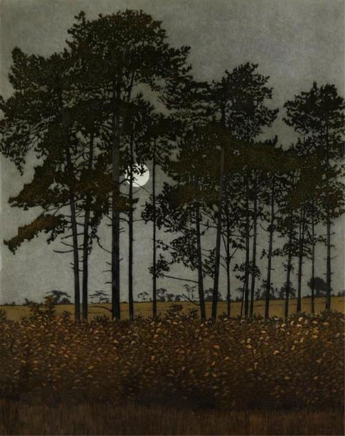 carga-de-agua:Phil Greenwood. United Kingdom artist.