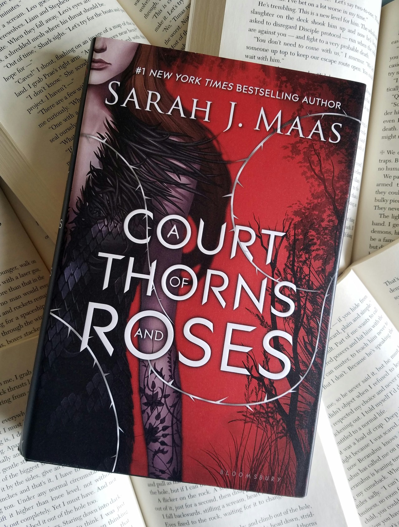 books like a court of thorns and roses