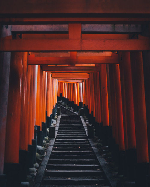 takashiyasui